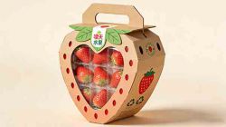 异性包装盒AI提示词